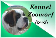 Kennel Zoomorf